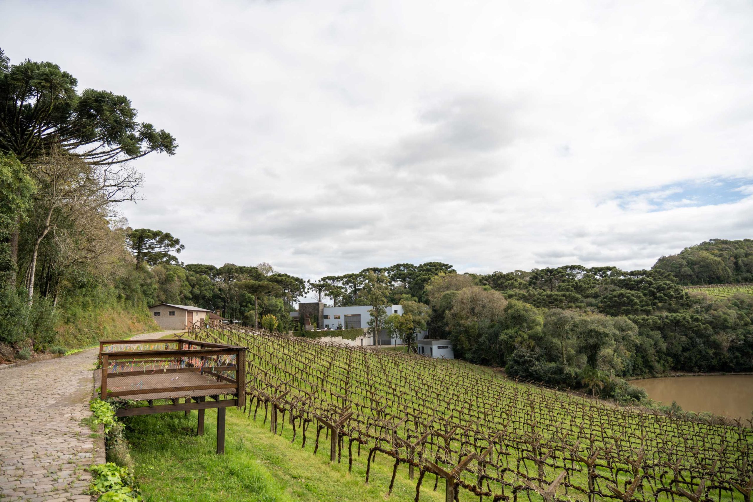Quinta Don Bonifácio.
