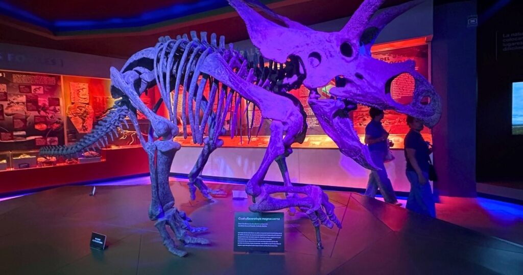 Museo del Desierto de Saltillo