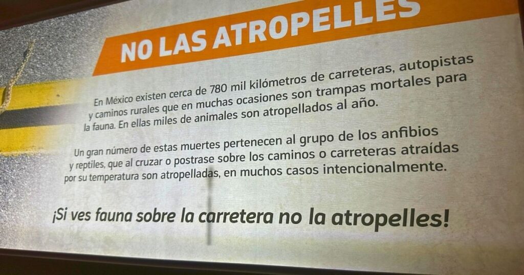 Museo del Desierto