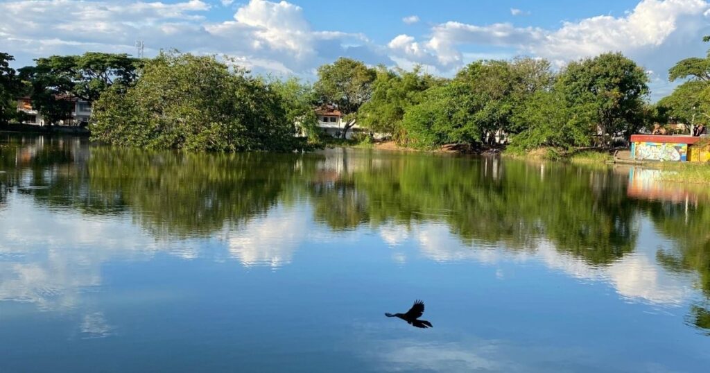Lago Chilicote, Tuluá.