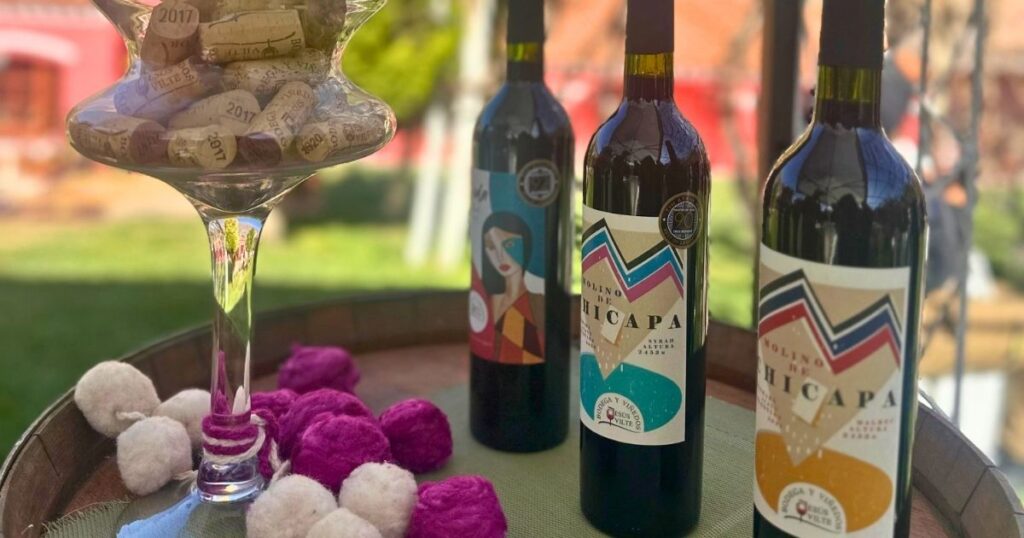 Bodega y Viñedos Jesús Vilte, Maimará, Jujuy.