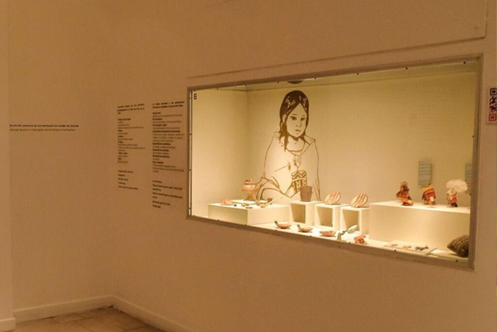 Museo de Arqueología de Alta Montaña